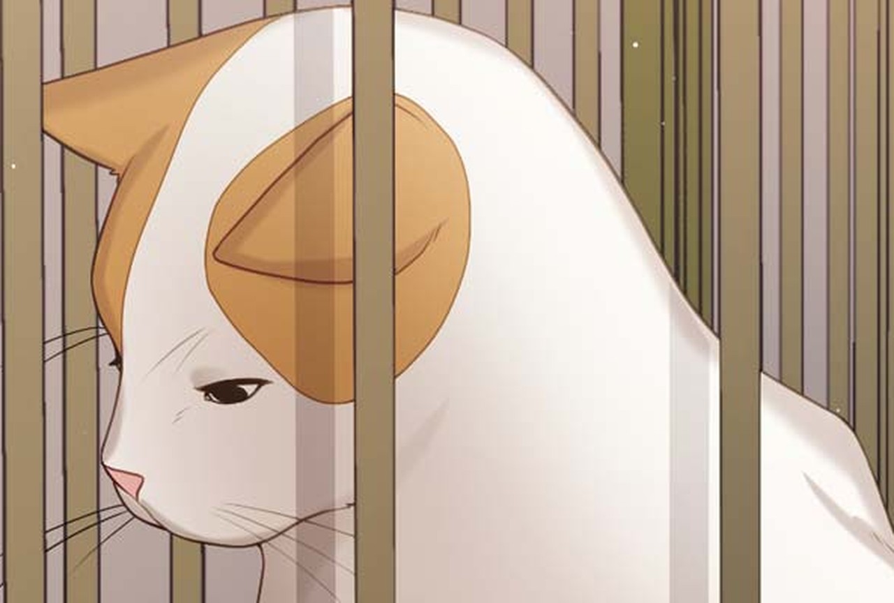 Mon chat est végétarien ! - Épisode 005 - ONO Webtoon et Manga