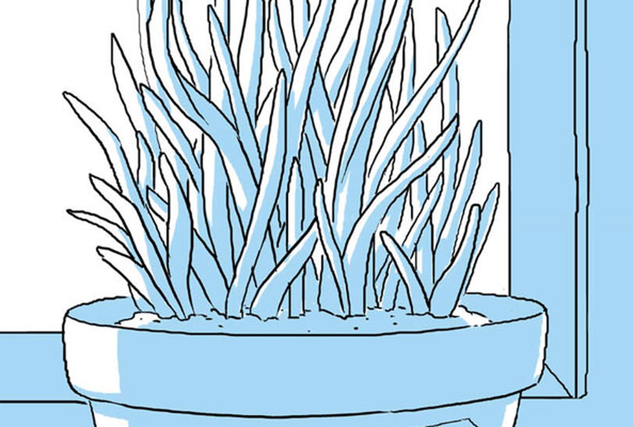Crapule - Épisode 73 - ONO Webtoon et Manga