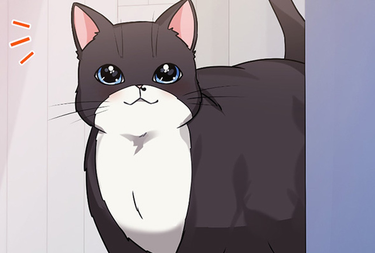 Mon chat est végétarien ! - Épisode 021 - ONO Webtoon et Manga