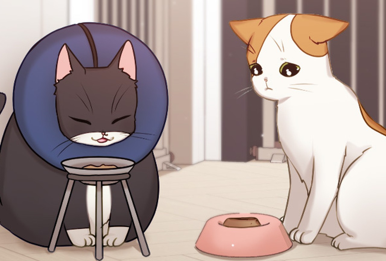 Mon chat est végétarien ! - Épisode 016 - ONO Webtoon et Manga